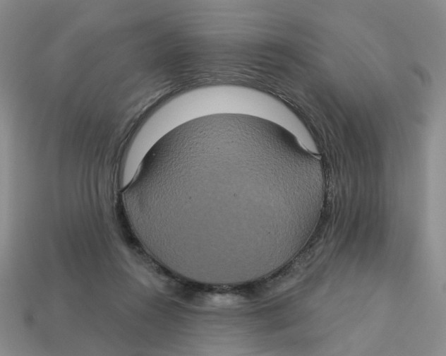 X0000113180360200910021548