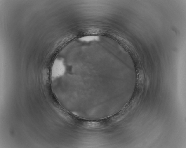 X0000113180361200910021548