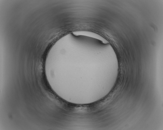 X0000113180362200910021548