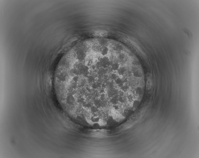 X0000113180363200910021548