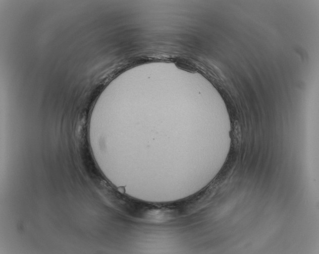 X0000113180364200910021548