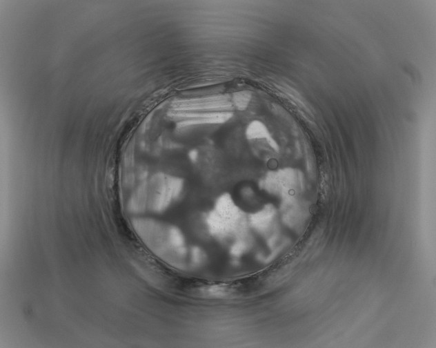 X0000113180365200910021548
