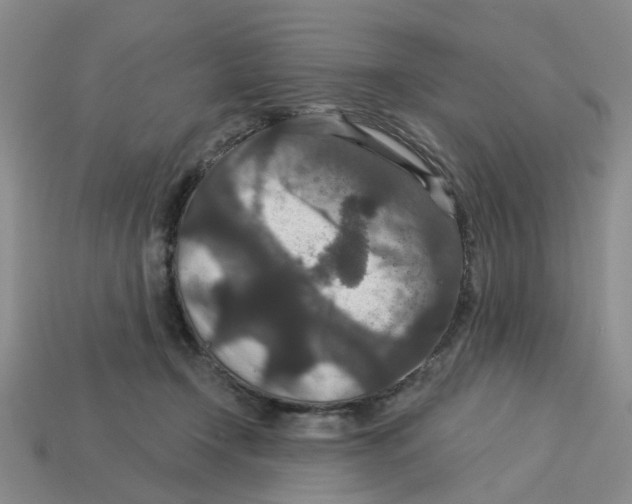 X0000113180366200910021548