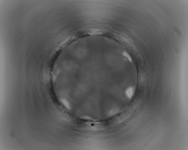 X0000113180367200910021548