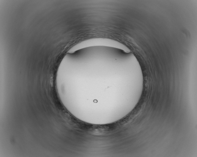 X0000113180368200910021548