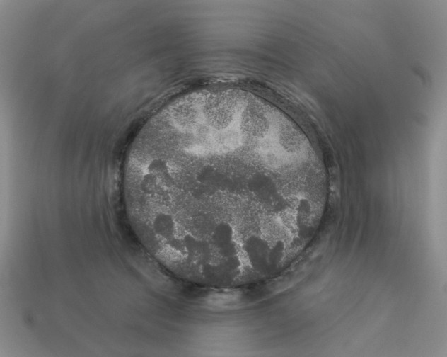 X0000113180369200910021548