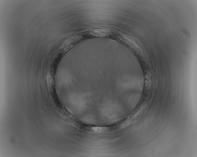 X0000113180371200910021548