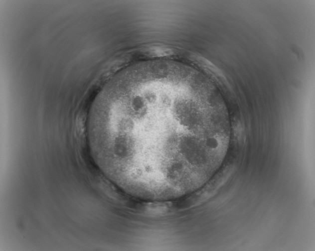 X0000113180373200910021548