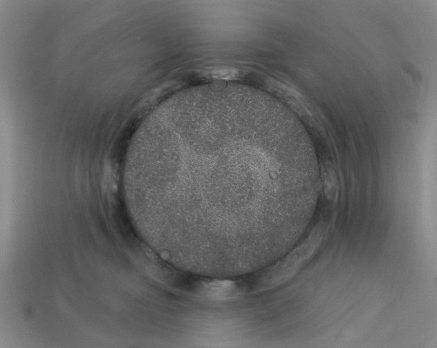 X0000113180374200910021548