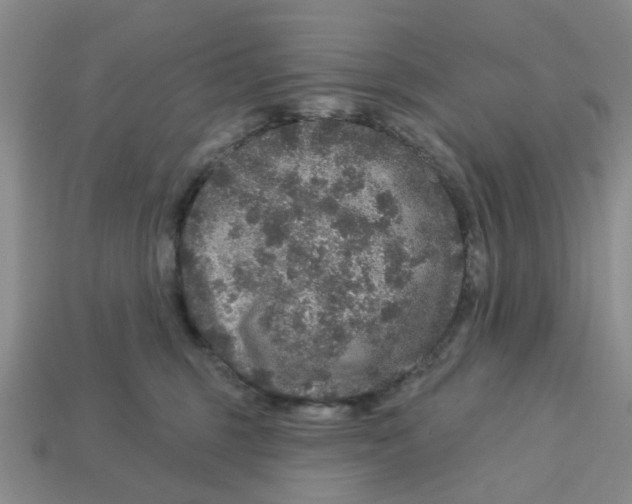 X0000113180375200910021548