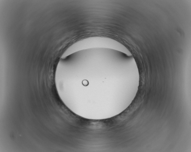X0000113180376200910021548