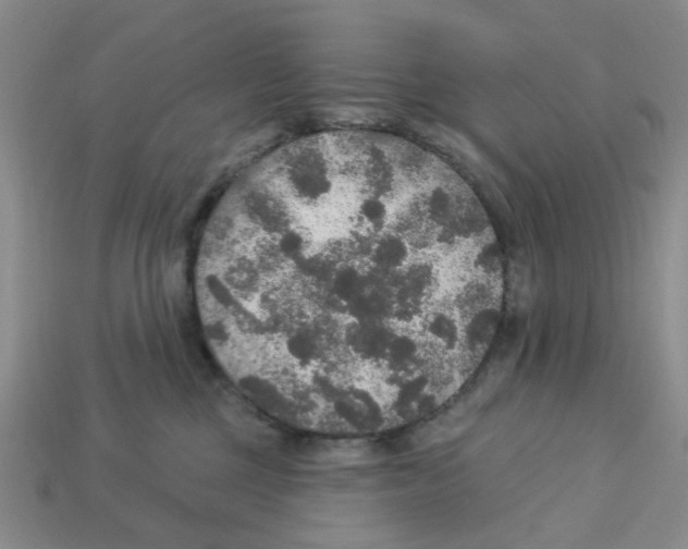 X0000113180377200910021548
