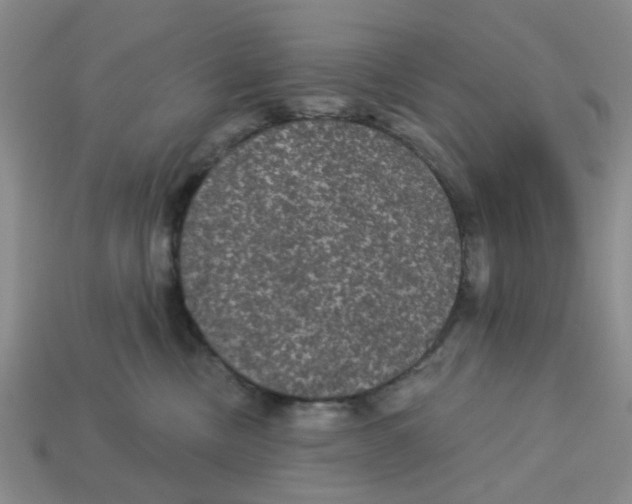 X0000113180378200910021548