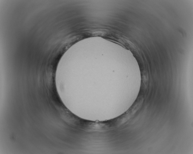 X0000113180379200910021548