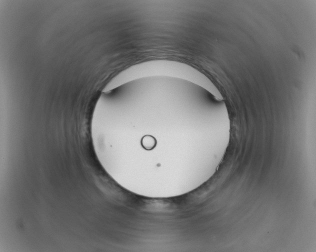 X0000113180380200910021548