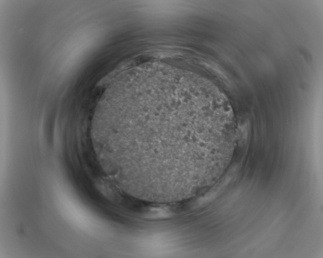 X0000113180381200910021548
