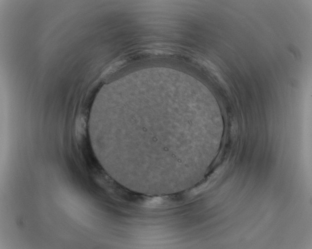 X0000113180382200910021548
