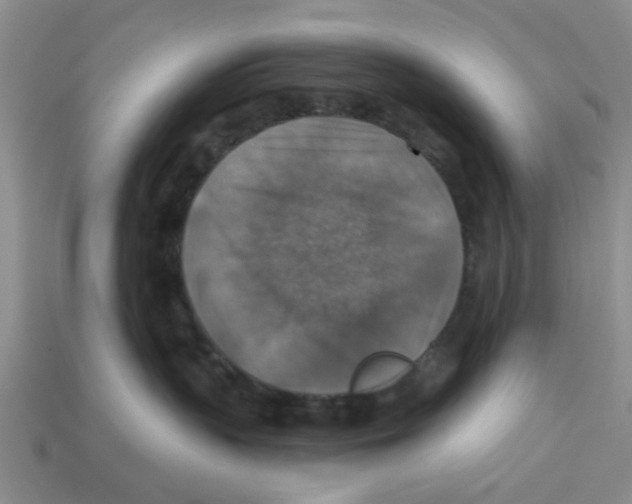 X0000113180383200910021548