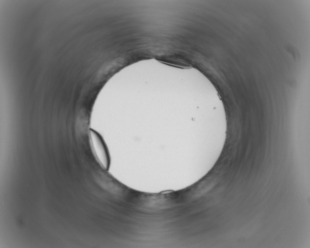 X0000113180384200910021548