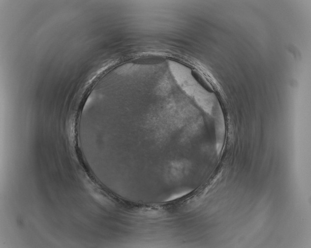 X0000113180386200910021547