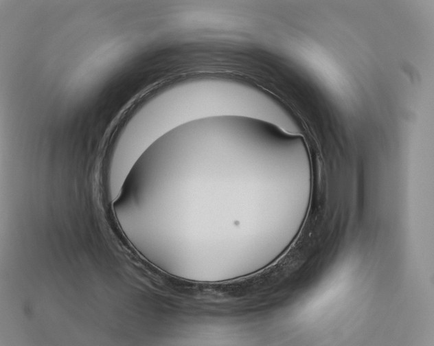 X0000113180387200910021547