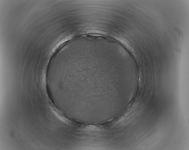 X0000113180390200910021547