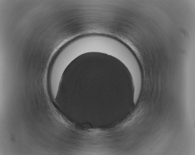 X0000113180391200910021547