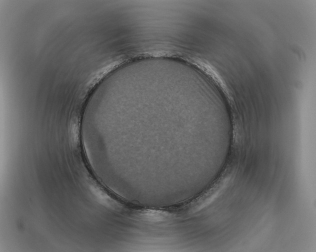 X0000113180393200910021547