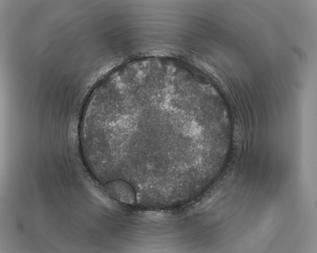 X0000113180394200910021547