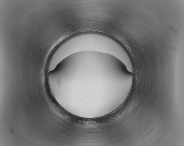 X0000113180395200910021547