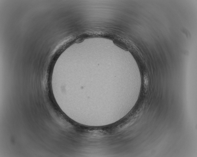 X0000113180396200910021547
