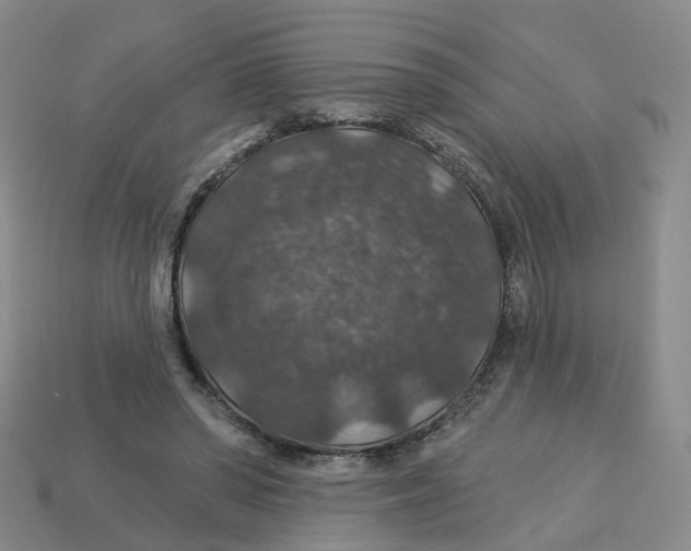 X0000113180398200910021547