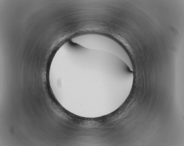 X0000113180399200910021547