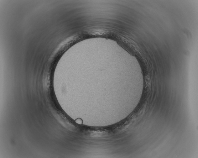 X0000113180400200910021547
