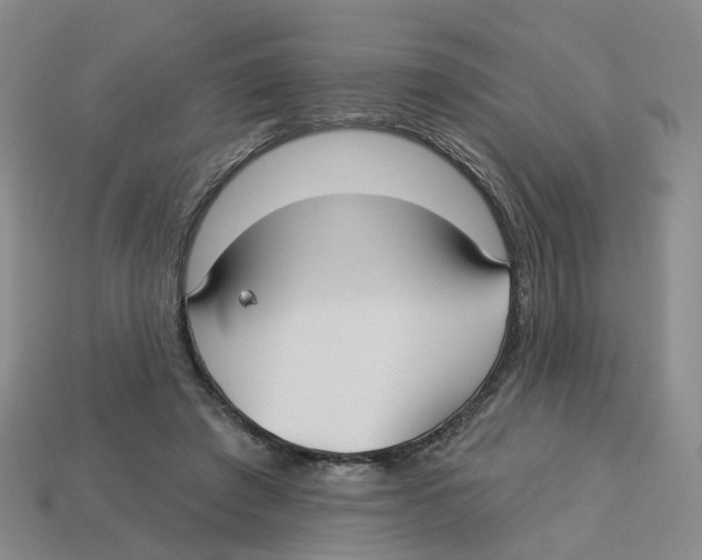X0000113180401200910021547