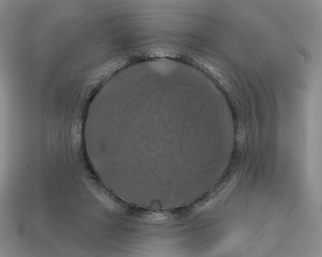 X0000113180402200910021547