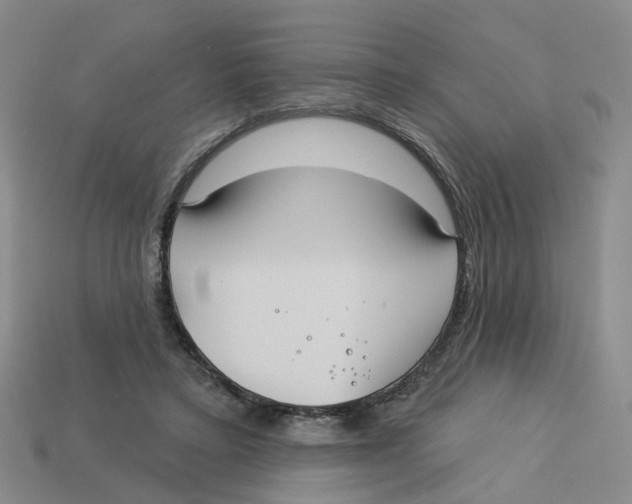 X0000113180403200910021547