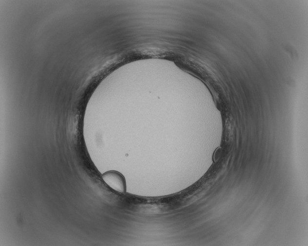X0000113180404200910021547