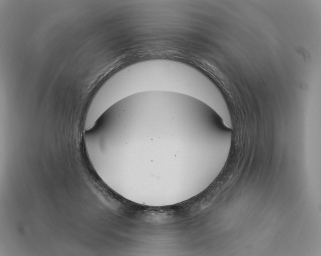 X0000113180405200910021547