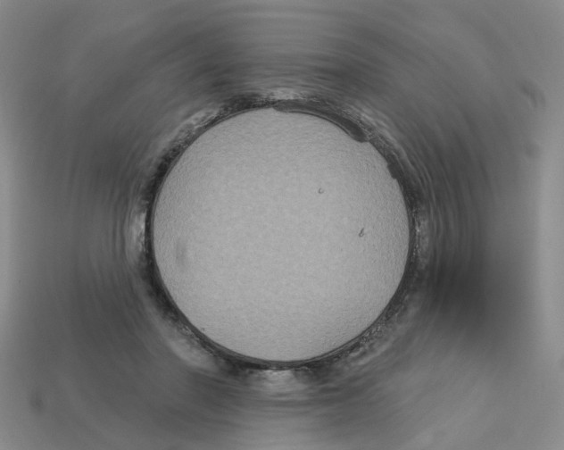 X0000113180406200910021547