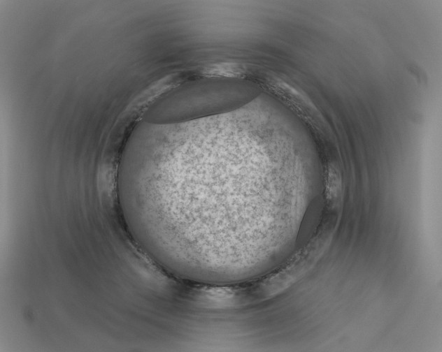 X0000113180409200910021547