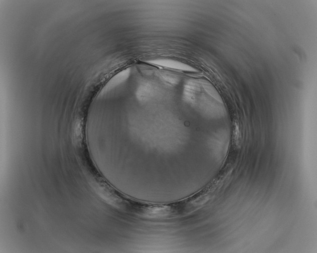 X0000113180410200910021547