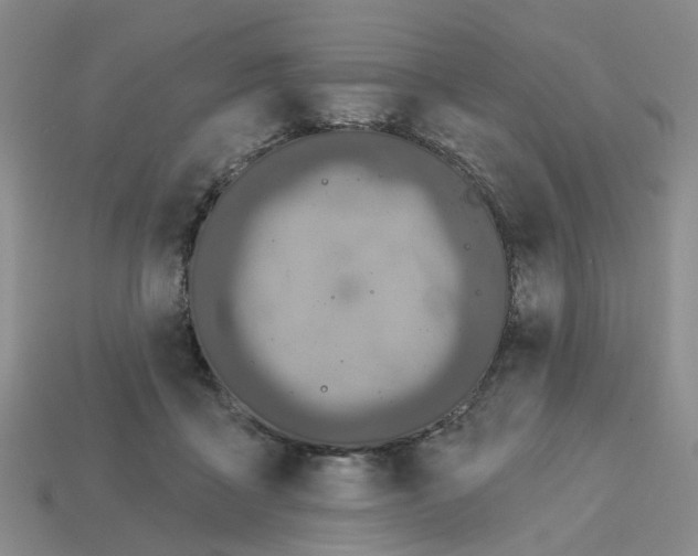 X0000113180411200910021547
