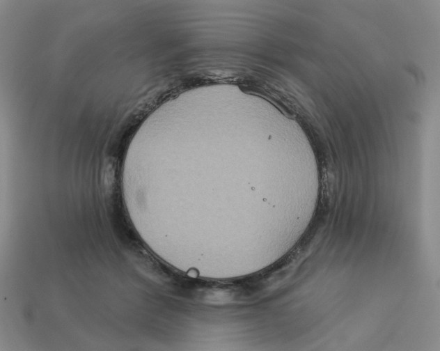 X0000113180412200910021547