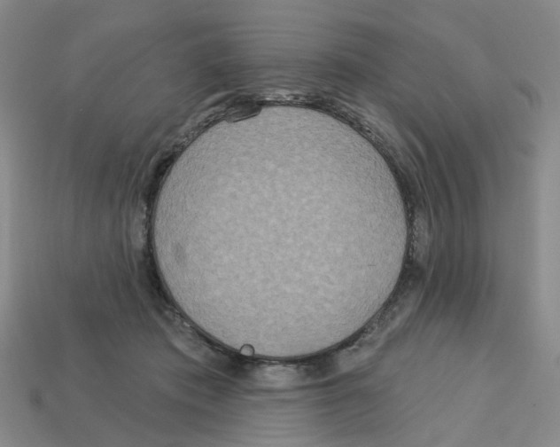 X0000113180413200910021547