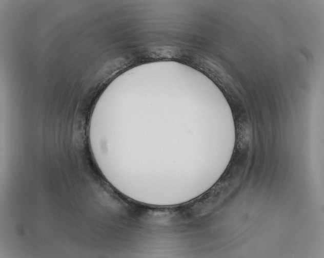 X0000113180414200910021547