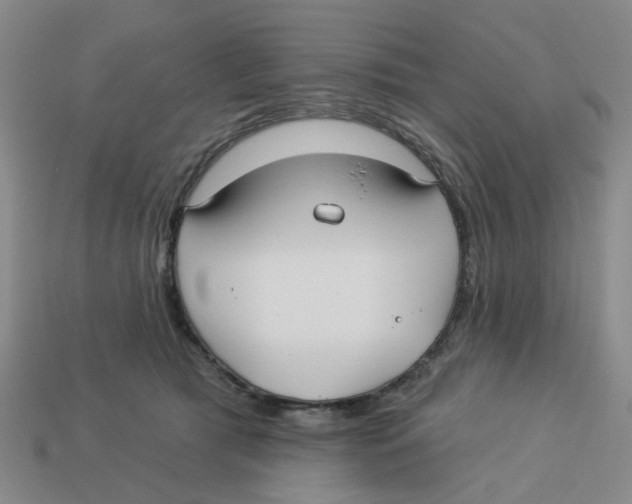 X0000113180417200910021547