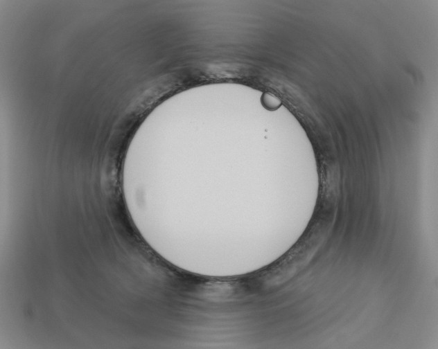 X0000113180418200910021547