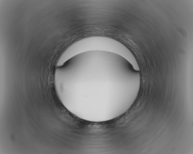 X0000113180419200910021547