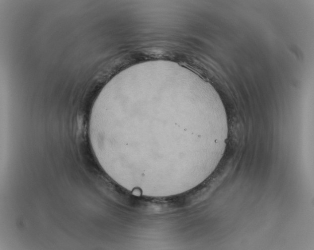 X0000113180420200910021547